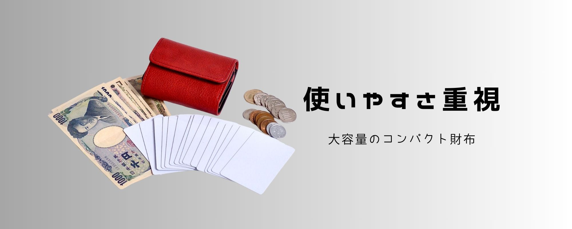 機能性、携帯性、収納力を合わせ持つコンパクトウォレット:DMS-100