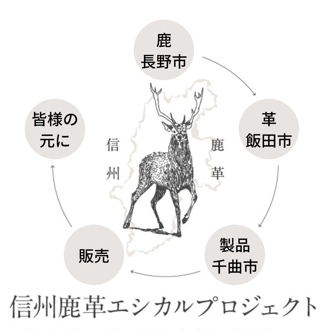 長野市で一番読まれている信濃毎日新聞に掲載！